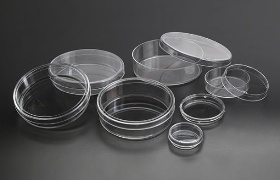 Picture of Sterile Petri Dish 90X20mm 100 mL