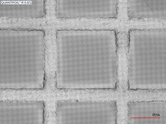 Picture of Quantifoil® R 0.6/1, 300 Mesh, Ni