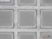 Picture of Quantifoil® R 0.6/1, 200 Mesh, Au