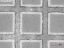 Picture of Quantifoil® R 1.2/20, 200 Mesh, Au
