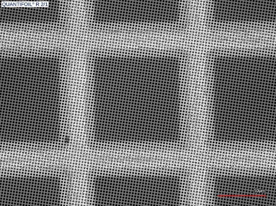 Picture of Quantifoil® R 2/1 Holey Carbon Films on Grids