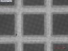 Picture of Quantifoil® R 2/1, UT, 200 Mesh, Au