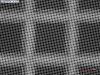 Picture of Quantifoil® R 3.5/1, 300 Mesh, Cu