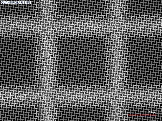 Picture of Quantifoil® R 3.5/1, 200 Mesh, Cu
