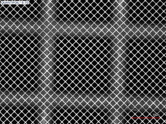 Picture of Quantifoil® S 7/2, 200 Mesh, Cu