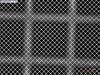Picture of Quantifoil® S 7/2 Holey Carbon Films on Grids