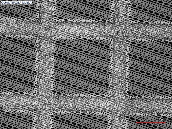 Picture of Quantifoil® Multi A, 300 Mesh, Au