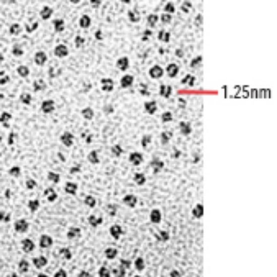 Picture of Ferritin on a Grid