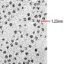 Picture of Ferritin on a Grid