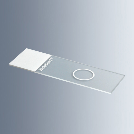HistoBond®+ Microscope Slides with 1 Circles