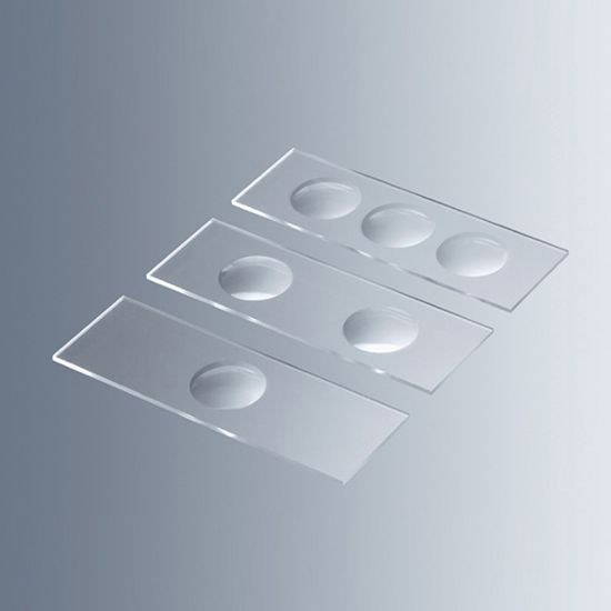 Marienfeld Superior™ Microscope Slides with 1 Cavities