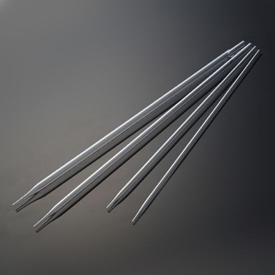 ES81270_group.jpg