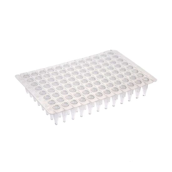 51000-10.jpg