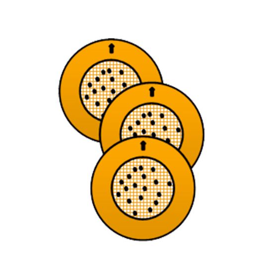 80086-14.jpg