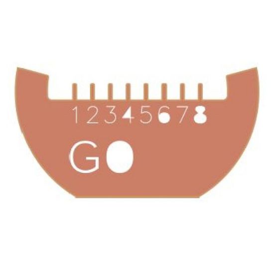 75964-15.jpg