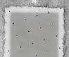 Quantifoil_SiO2_12_20.jpg