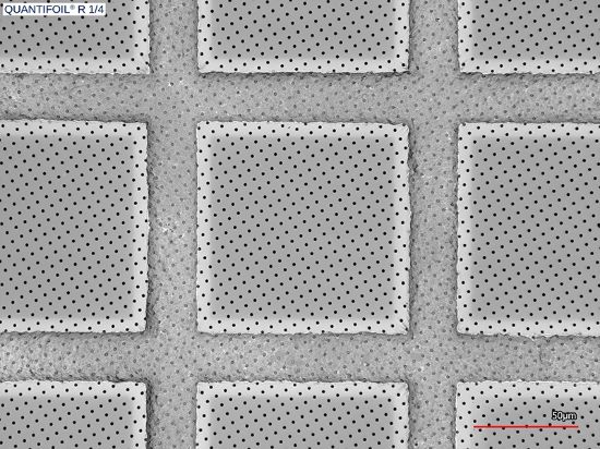 QuantifoilR1-4_50x.jpg