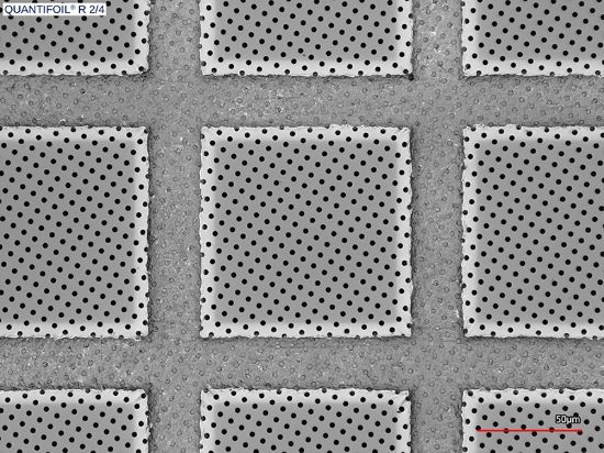 QuantifoilR2-4_50x.jpg