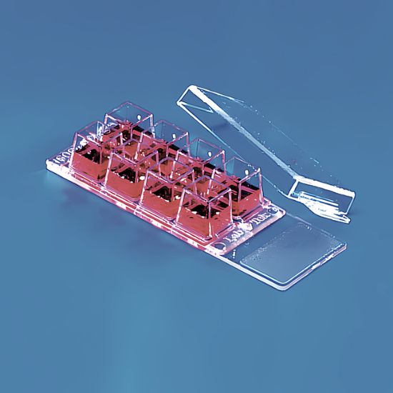 70410.jpg