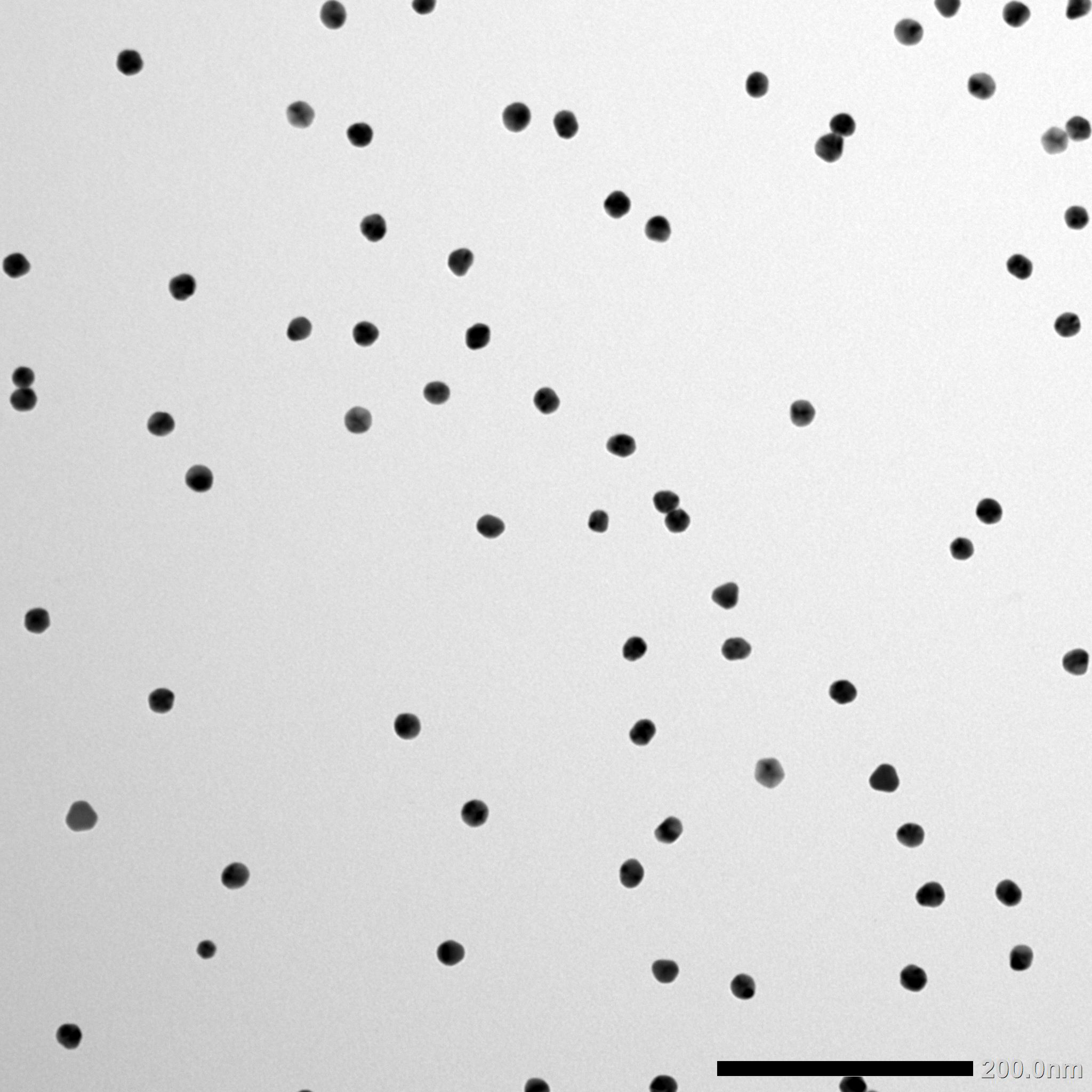 20nm Gold Nanoparticles