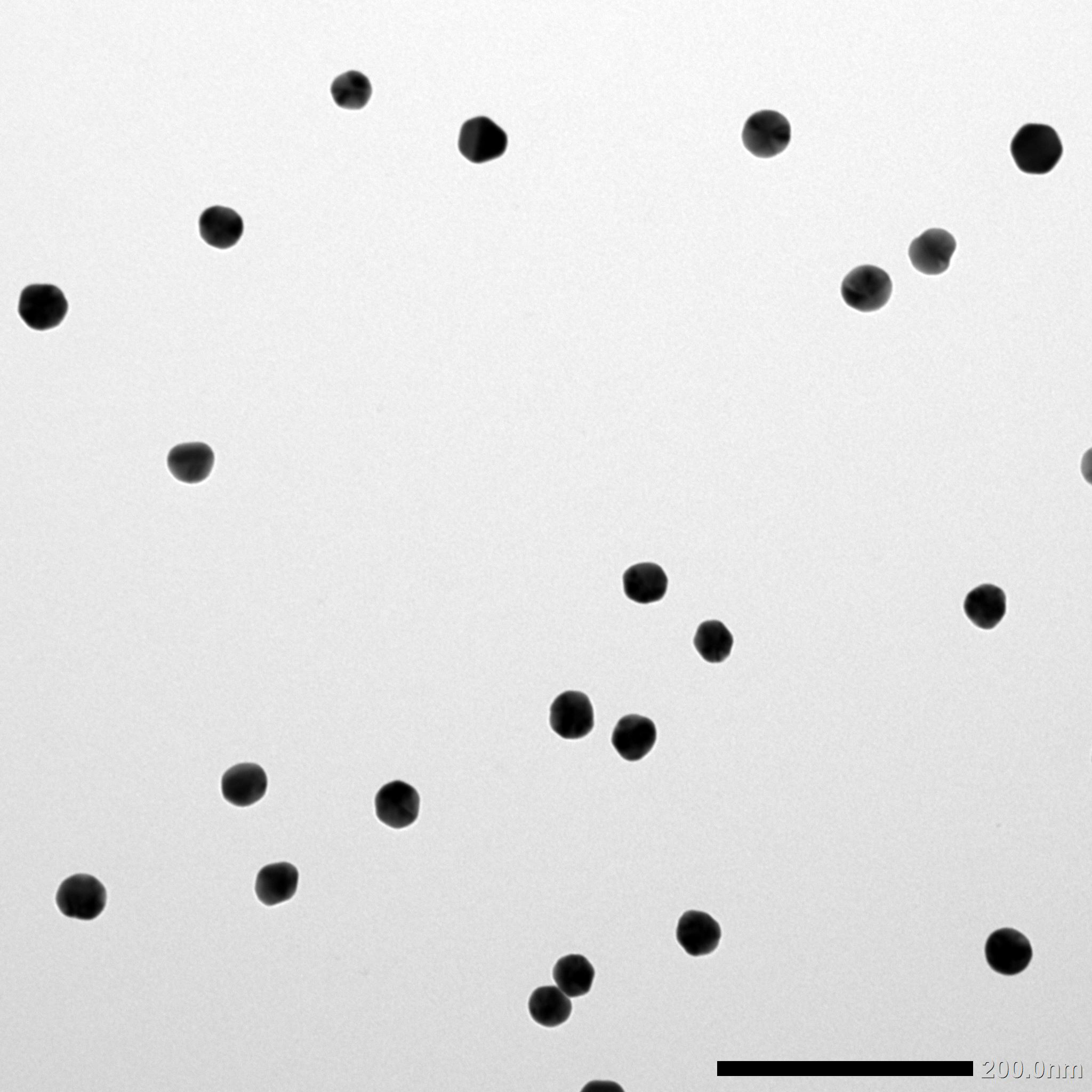 40nm Gold Nanoparticles
