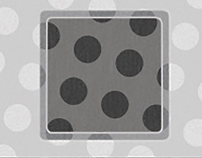 Sample Image for Quantifoil R 10/5