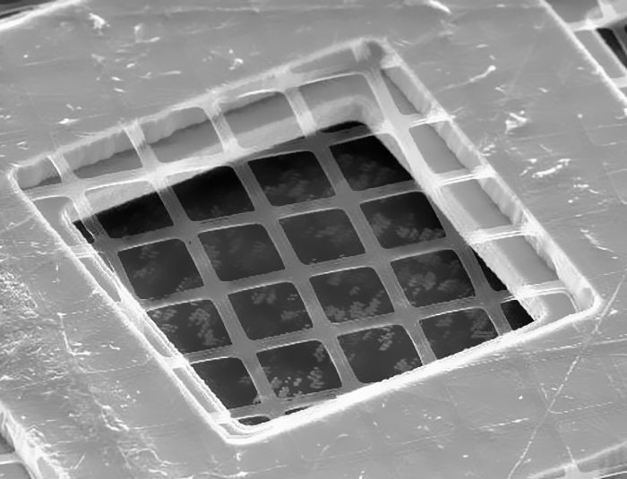 Sample Image for Quantifoil S 35/10