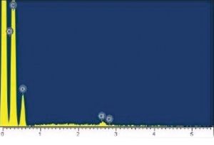 EDX spot analysis of the wood
